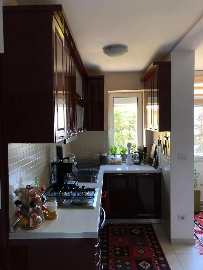 Midcentury Modern 1 Bedroom Apartment In Tirana