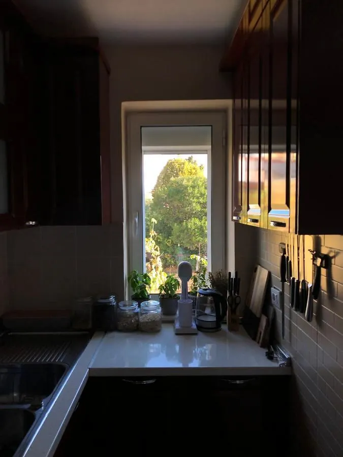 Midcentury Modern 1 Bedroom Apartment In Tirana