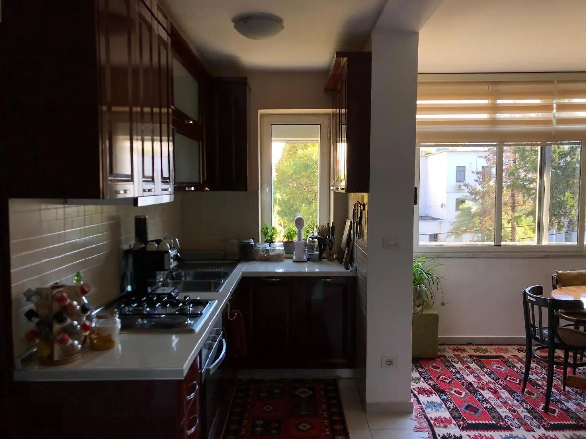 Midcentury Modern 1 Bedroom Apartment In Tirana 0*,  Albania