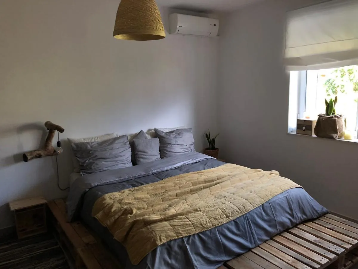 Midcentury Modern 1 Bedroom Apartment In Tirana